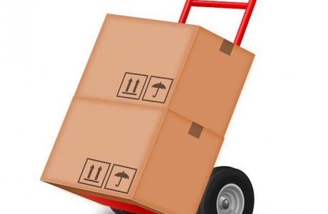 הובלה קטנה בנס ציונה